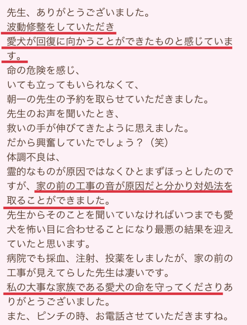 ヴェルニ　青蓮先生　口コミ