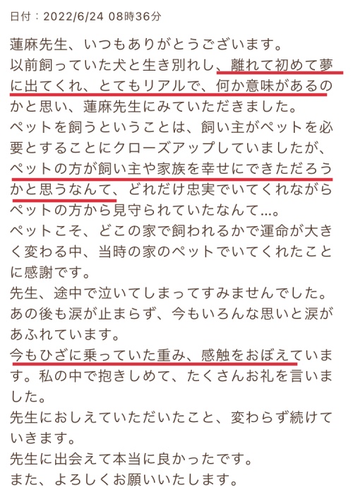 ペットの気持ち　ヴェルニ　蓮麻生織先生